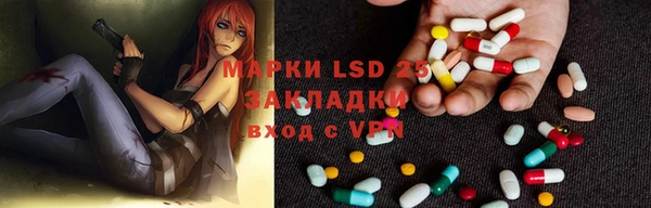 индика Абаза