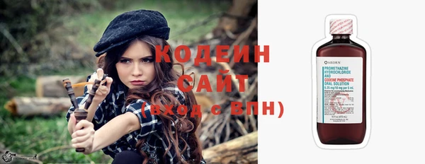 индика Абаза