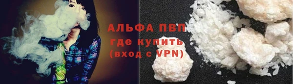сатива Абинск