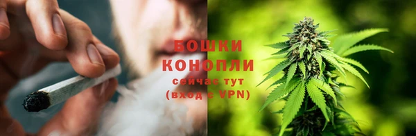 сатива Абинск