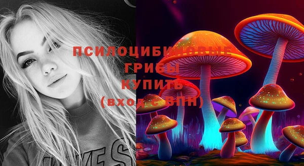 МДПВ Абдулино