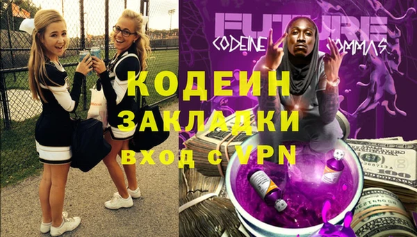индика Абаза