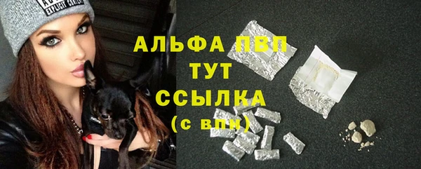 сатива Абинск