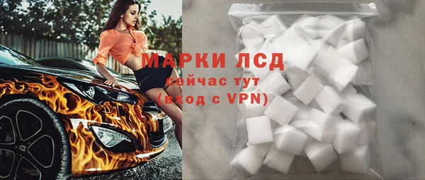 индика Абаза