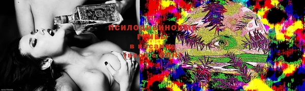 сатива Абинск