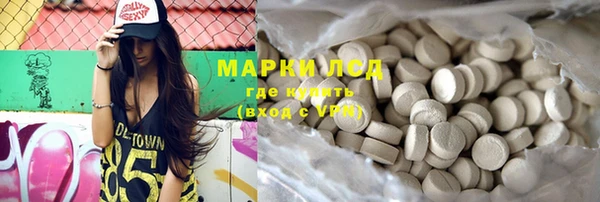 индика Абаза