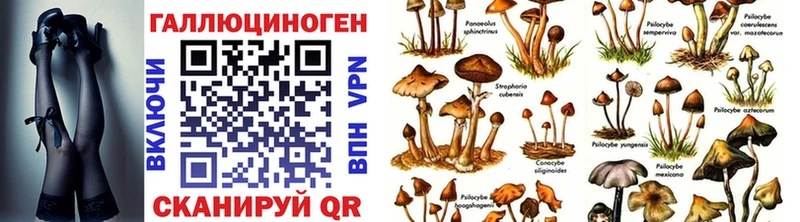 ОМГ ОМГ tor  сколько стоит  Горбатов  Галлюциногенные грибы Cubensis 